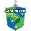 Gangneung Citizen