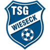 Logo Wieseck U19