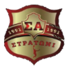 Logo CSM Ramnicu Valcea