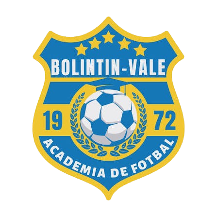 Bolintin Vale