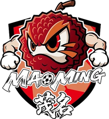 Maoming Team
