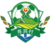 Logo Shodon Village