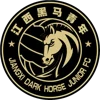Wenzhou Professional Football Club