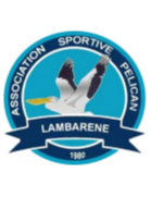 Logo Pelican Lambarene