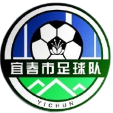 Logo Yichun Team