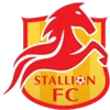 Stallion Laguna FC