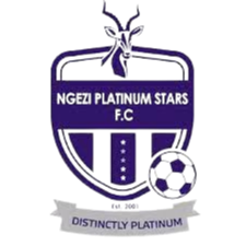 Logo Ngezi Platinum