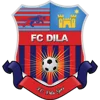 Dila Gori