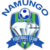 Logo Namungo FC