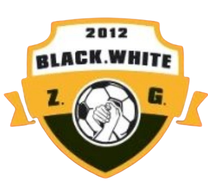 Logo Zigong Black White