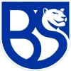 Union Brescia 