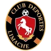 Deportes Limache