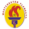 Logo Westchester Flames